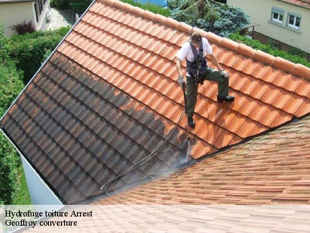 Hydrofuge toiture  arrest-80820 Geoffroy couverture