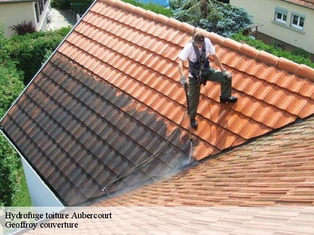 Hydrofuge toiture  aubercourt-80110 Geoffroy couverture