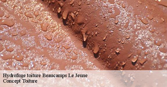 Hydrofuge toiture  beaucamps-le-jeune-80430 Geoffroy couverture