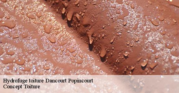 Hydrofuge toiture  dancourt-popincourt-80700 Geoffroy couverture