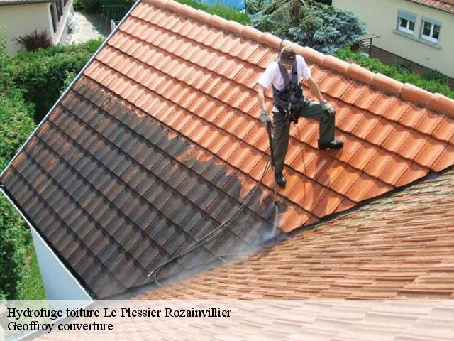 Hydrofuge toiture  le-plessier-rozainvillier-80110 Geoffroy couverture