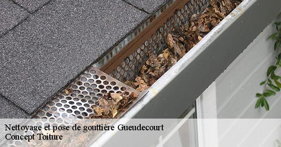 Nettoyage et pose de gouttière  80360