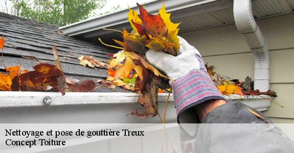 Nettoyage et pose de gouttière  treux-80300 Geoffroy couverture